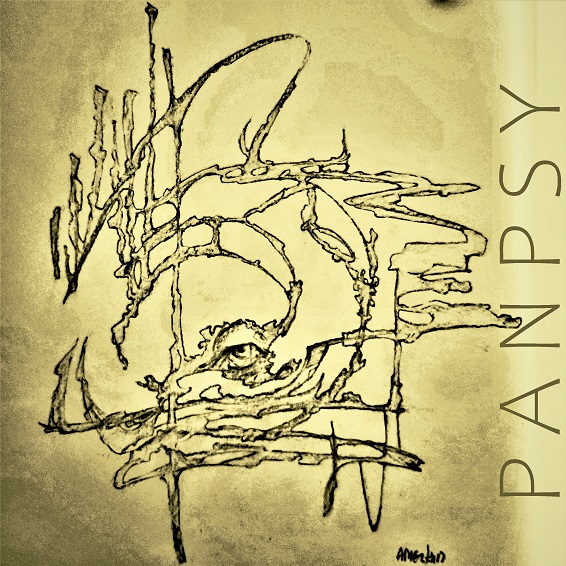 Panpsy Fantasy
---------
 (  ,      )