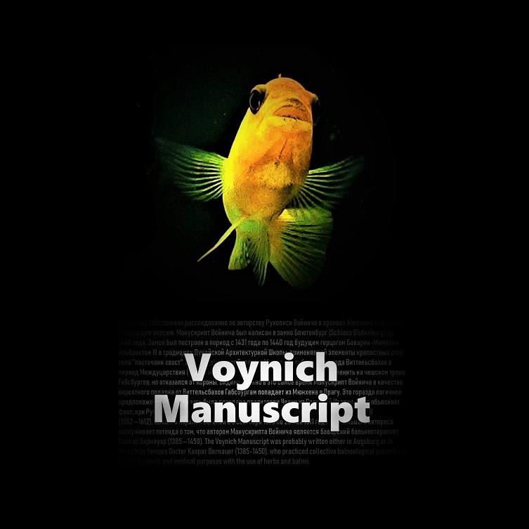 Voynich Manuscript
---------
 (  ,      )